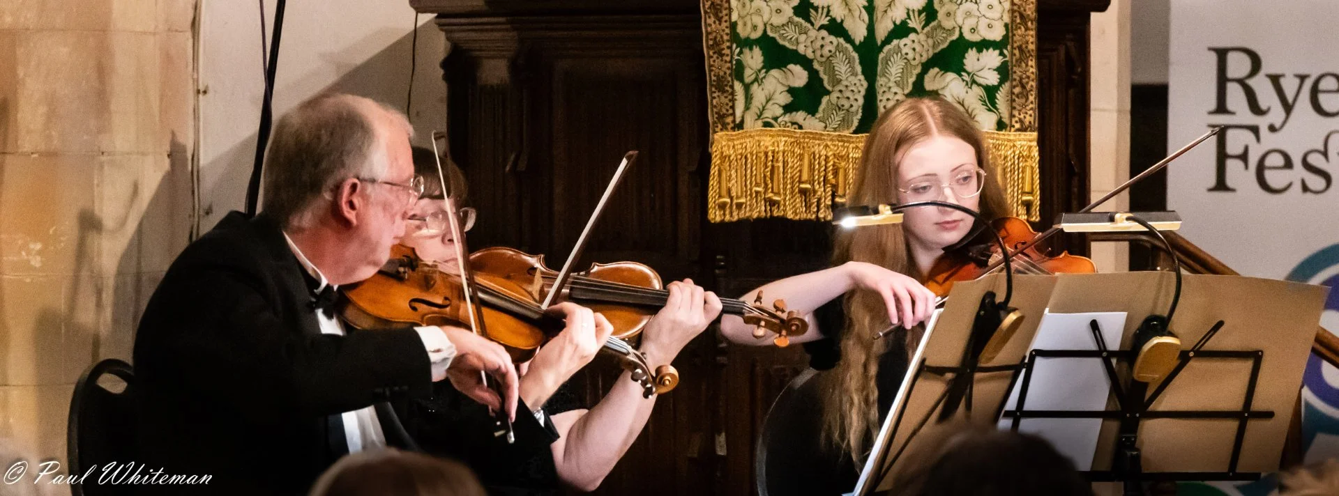 Rye Arts Festival Stringed Orchestra-11.jpg