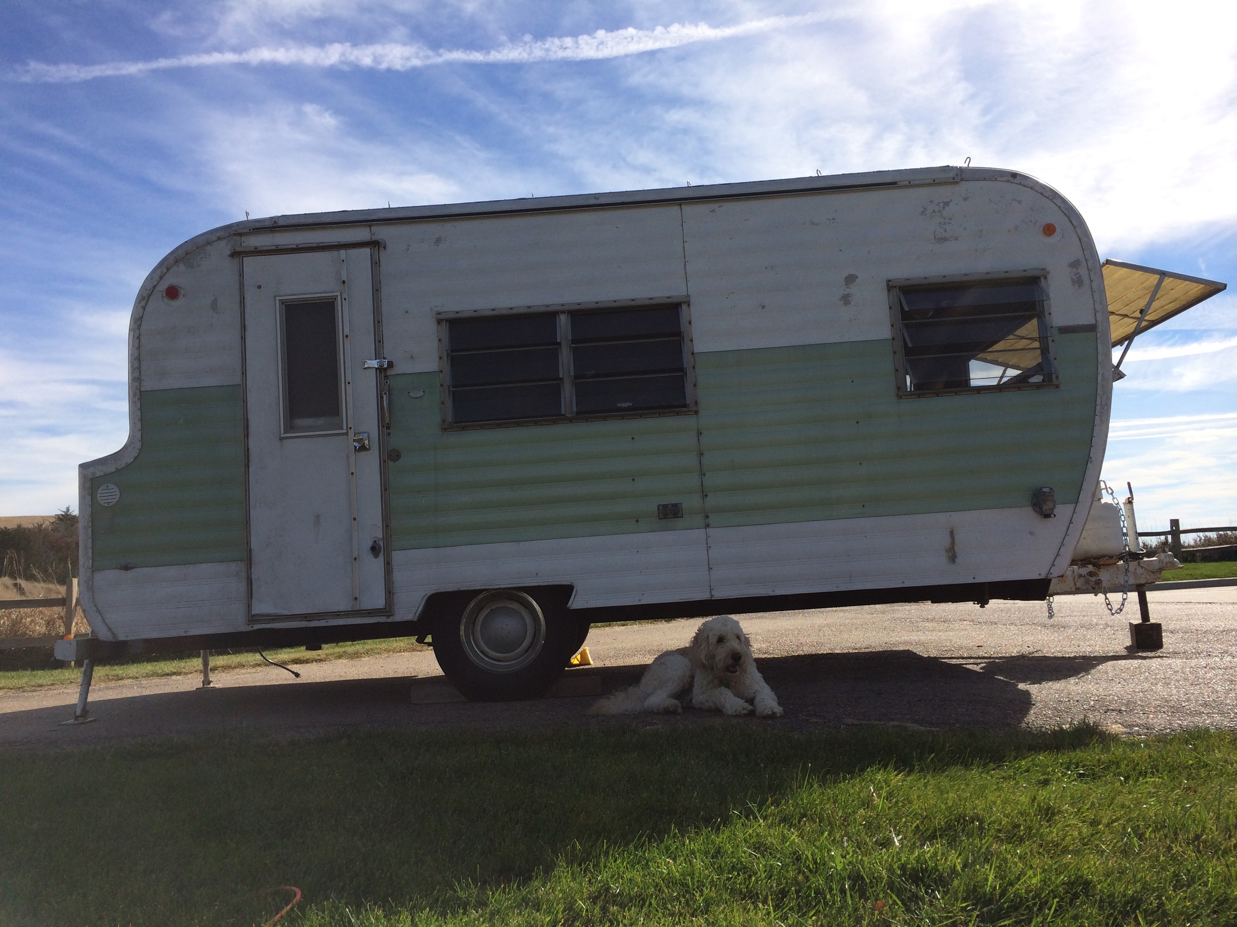 We Think It's Time You Meet Elsie