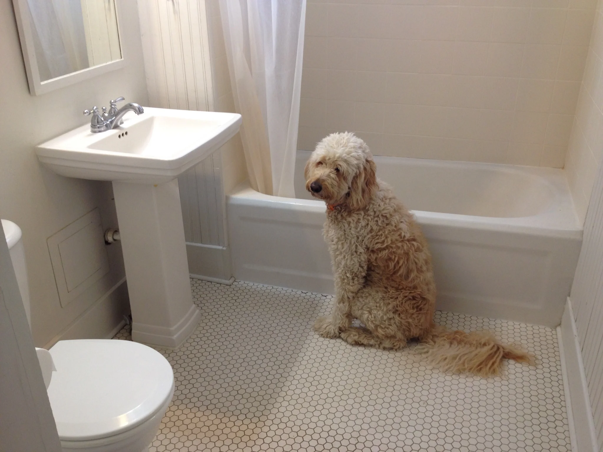 How to Get Rid of Your Stuff and Move into a Camper