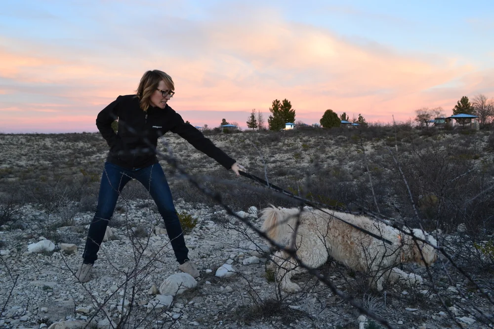 Local Color: New Mexico