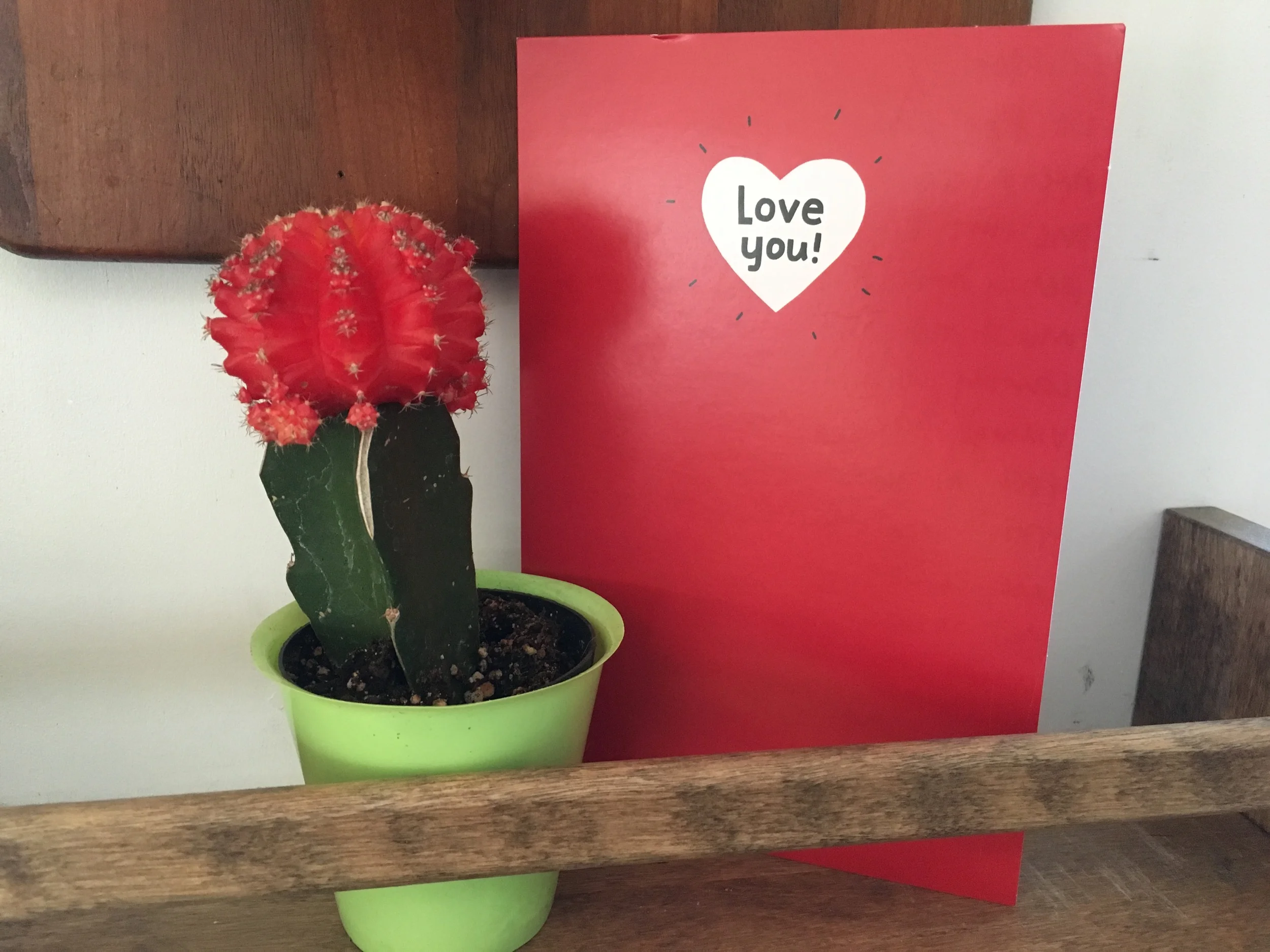 Romance on the Open Road