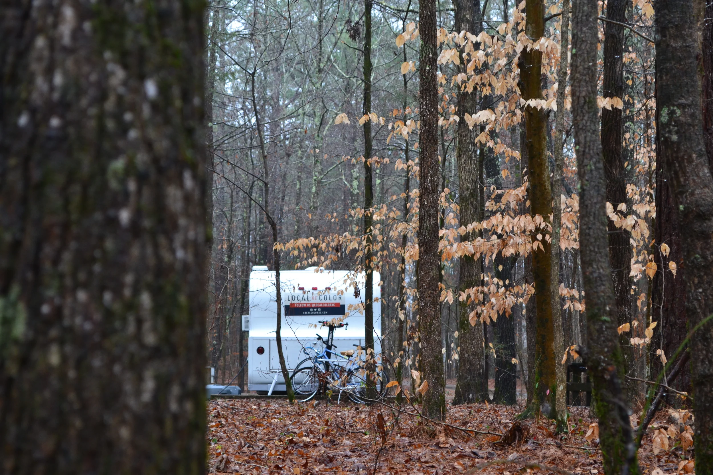 Local Color: Mississippi