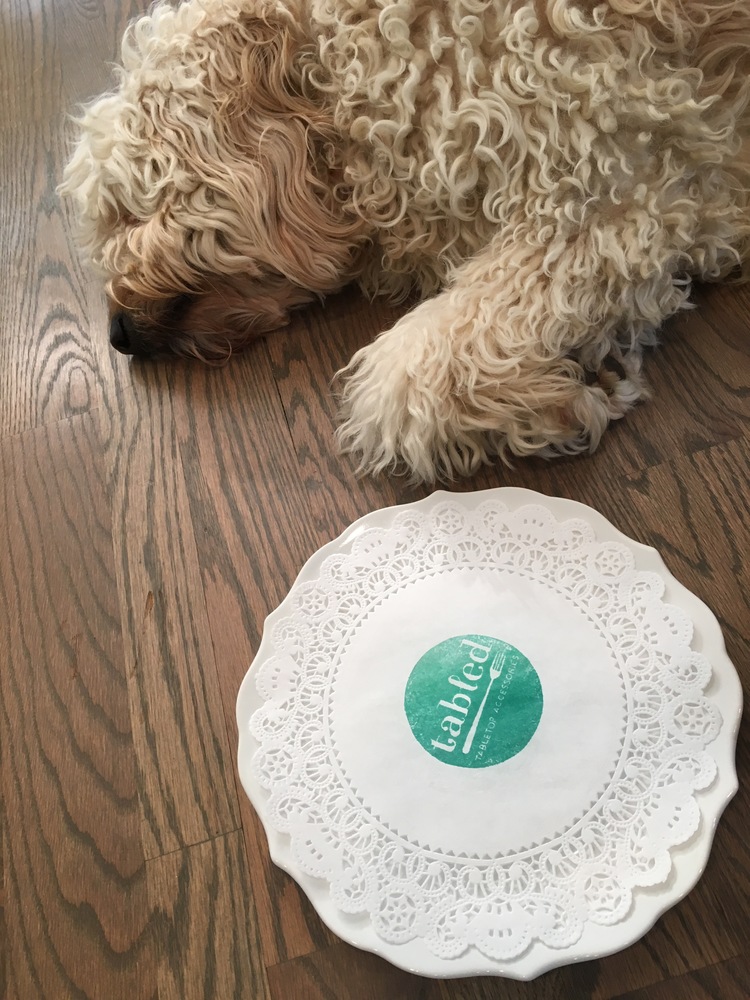 Costello "helping" during the first ever Tabled photo shoot a few weeks ago in Nashville, TN.