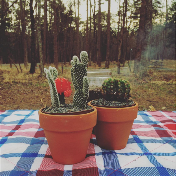 Image courtesy of our friend The New Chrissy (follow her!).