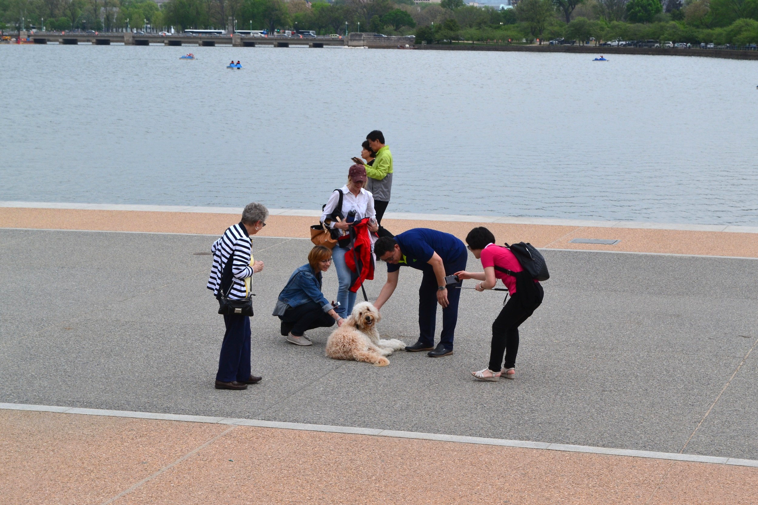 One of Costello's many photo sessions on The Mall.