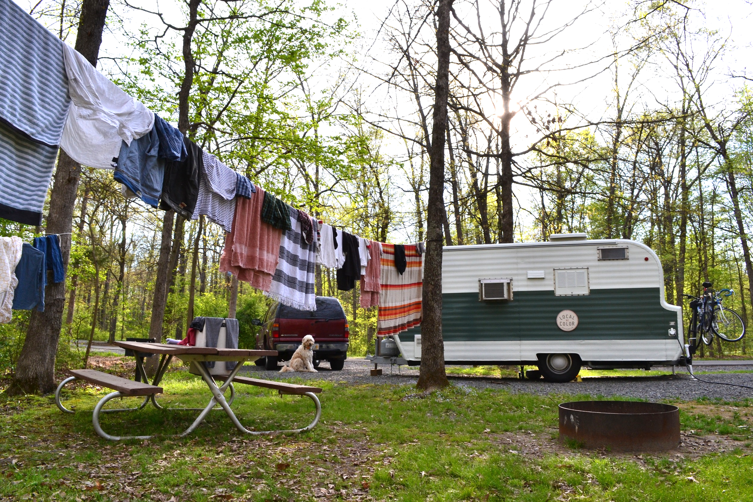 Elsie parked at Bull Run Regional Park in Virginia.&nbsp;
