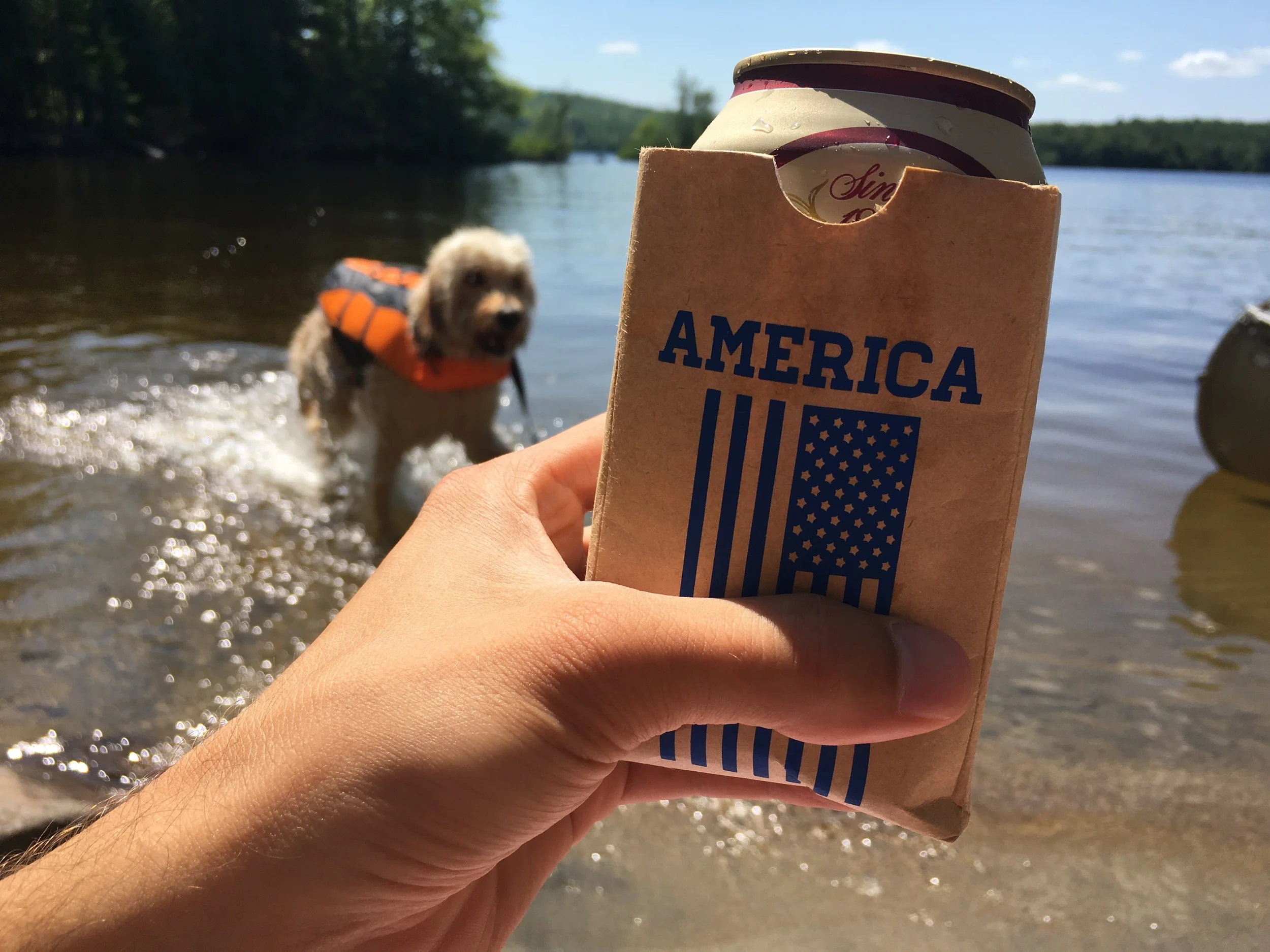 Month in Review: June