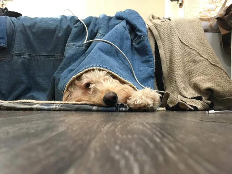 Our 5 Most Popular Blog Posts of 2016