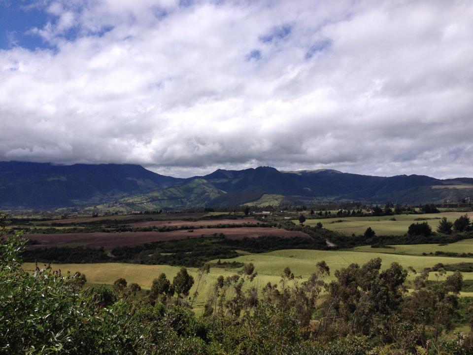 The view from the bus