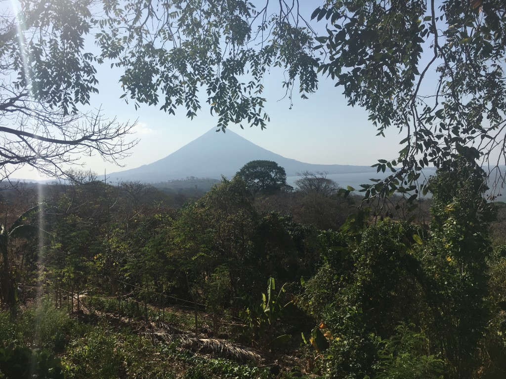 View from the farm 