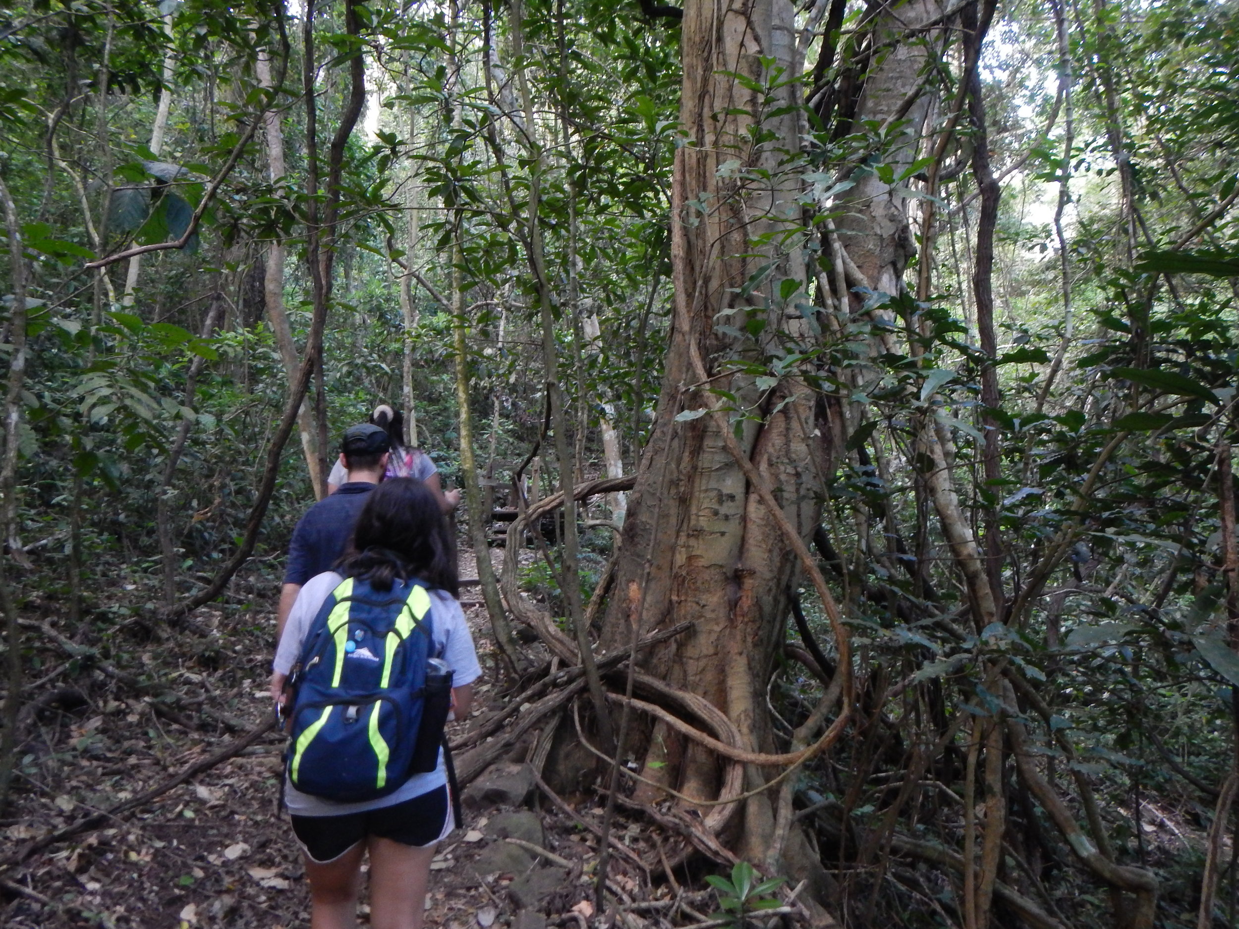 Aris, Topher, and I hiking up the volcano
