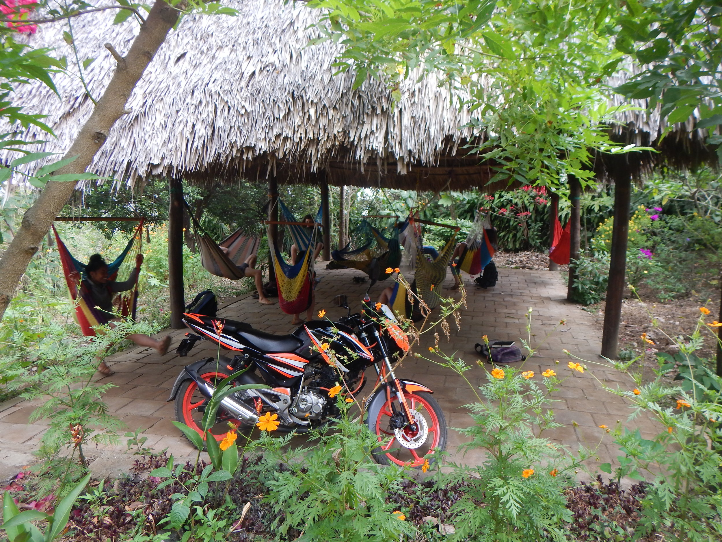 Escuela de Español Mariposas