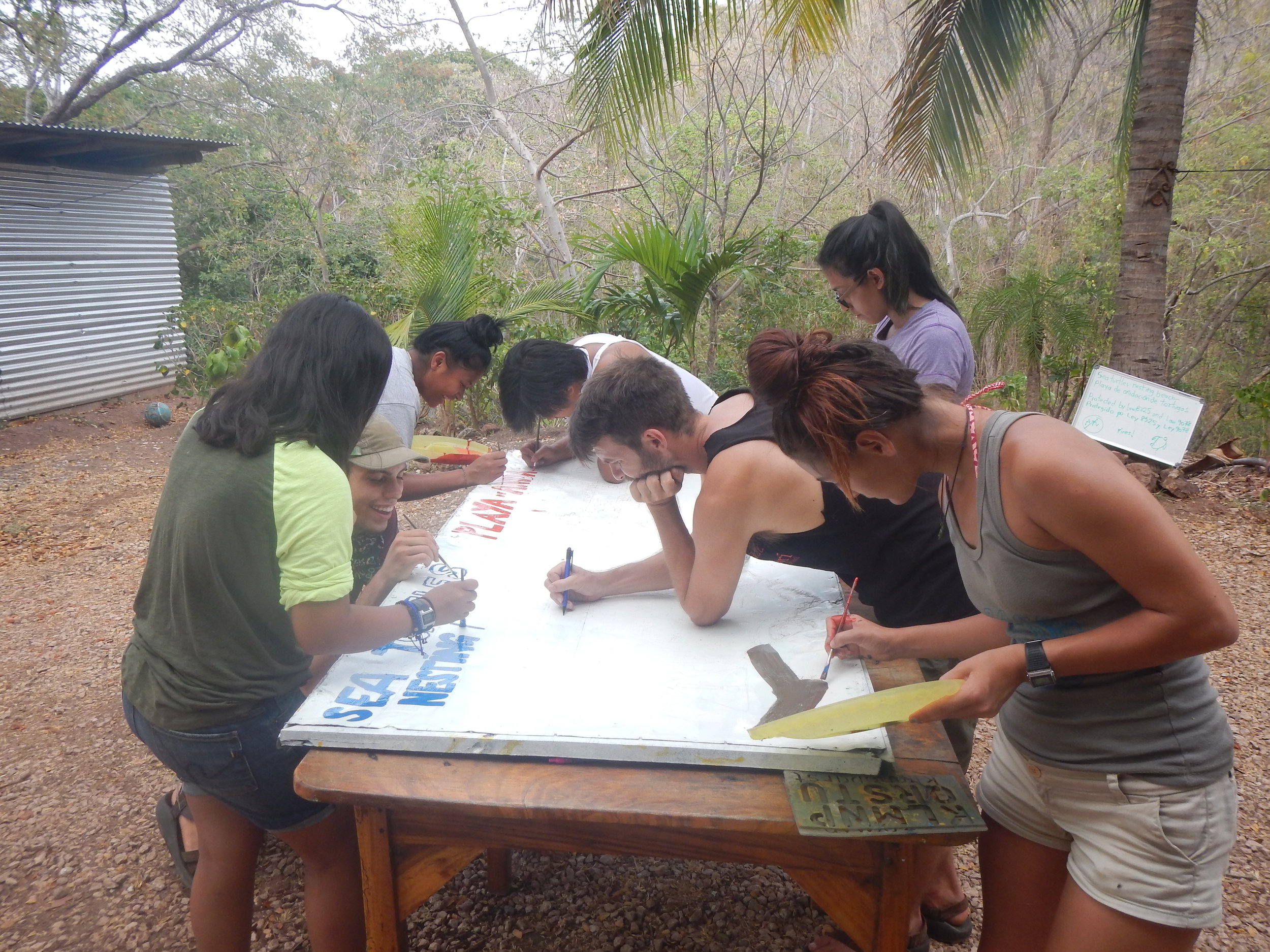 Carefully crafting our turtle protection sign