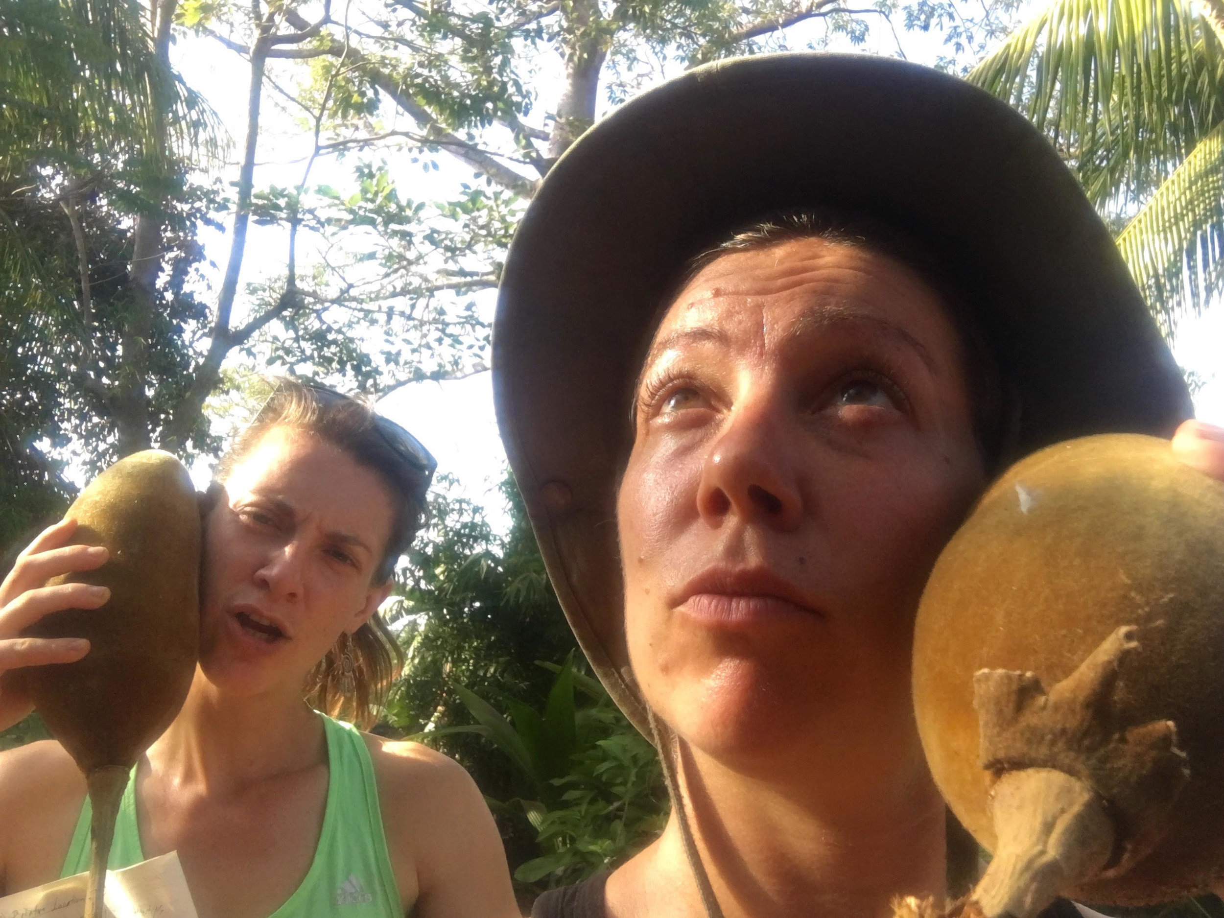 First time: using balboa for the a conference call. Kate and Suzannah call Carpe Mundi headquarters to say hi. 