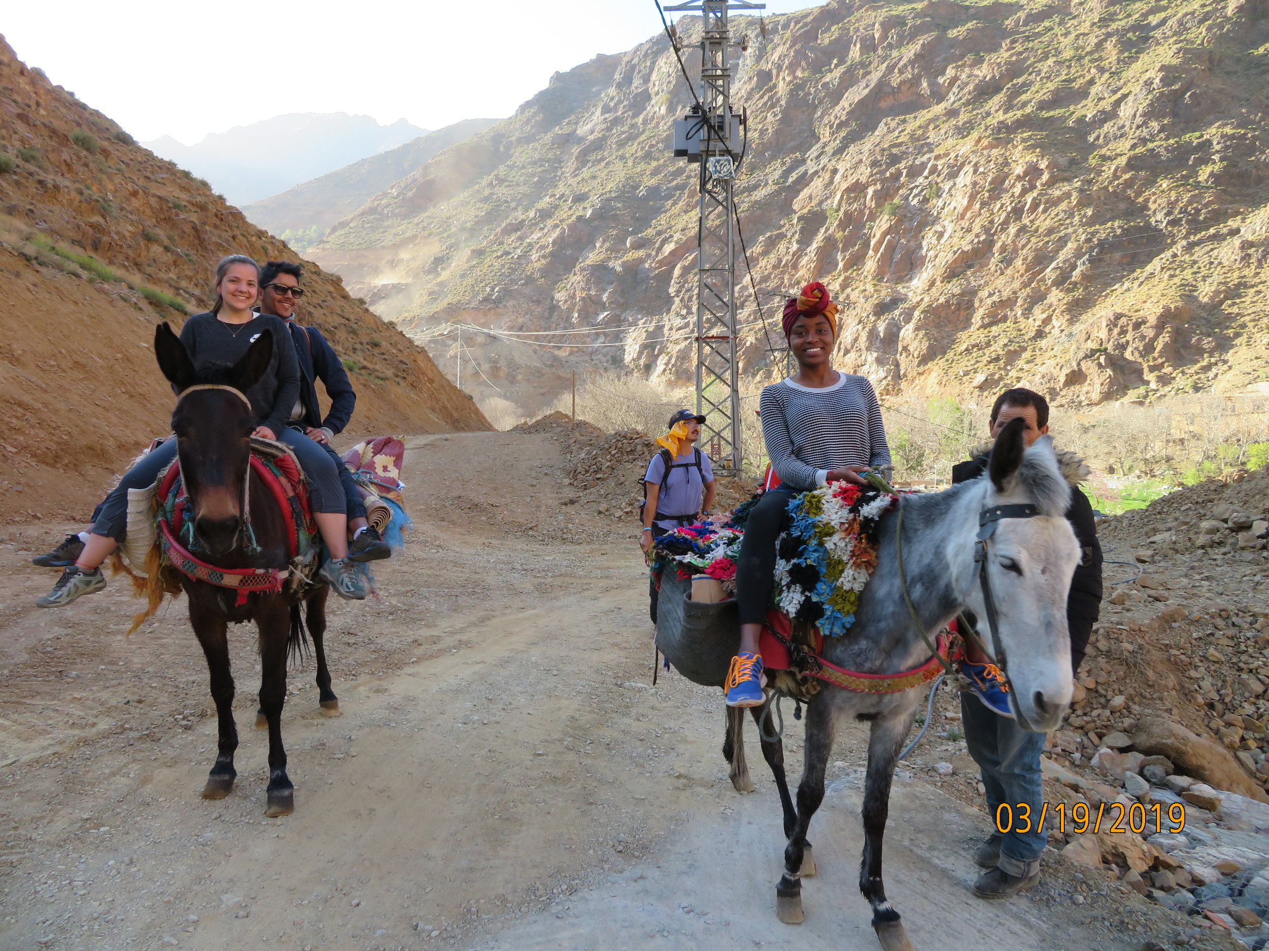 Mules are the preferred mode of transportation for Salaam.