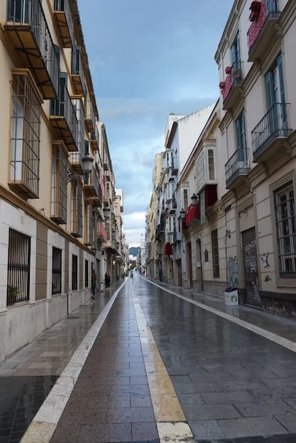 One of the main streets in Malaga.
