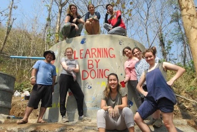 City Lights and Forest Trees