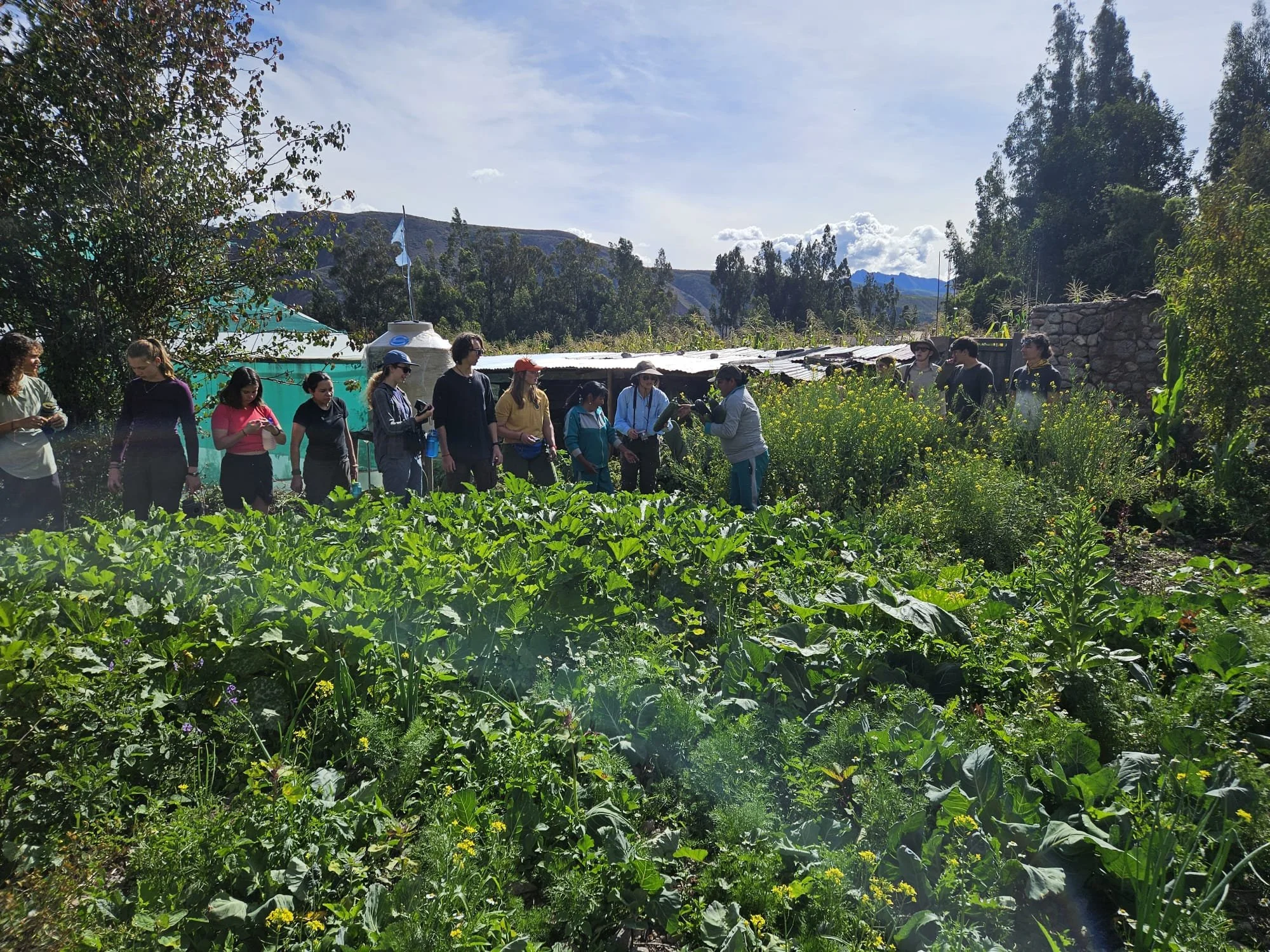 A glimpse into our first two weeks