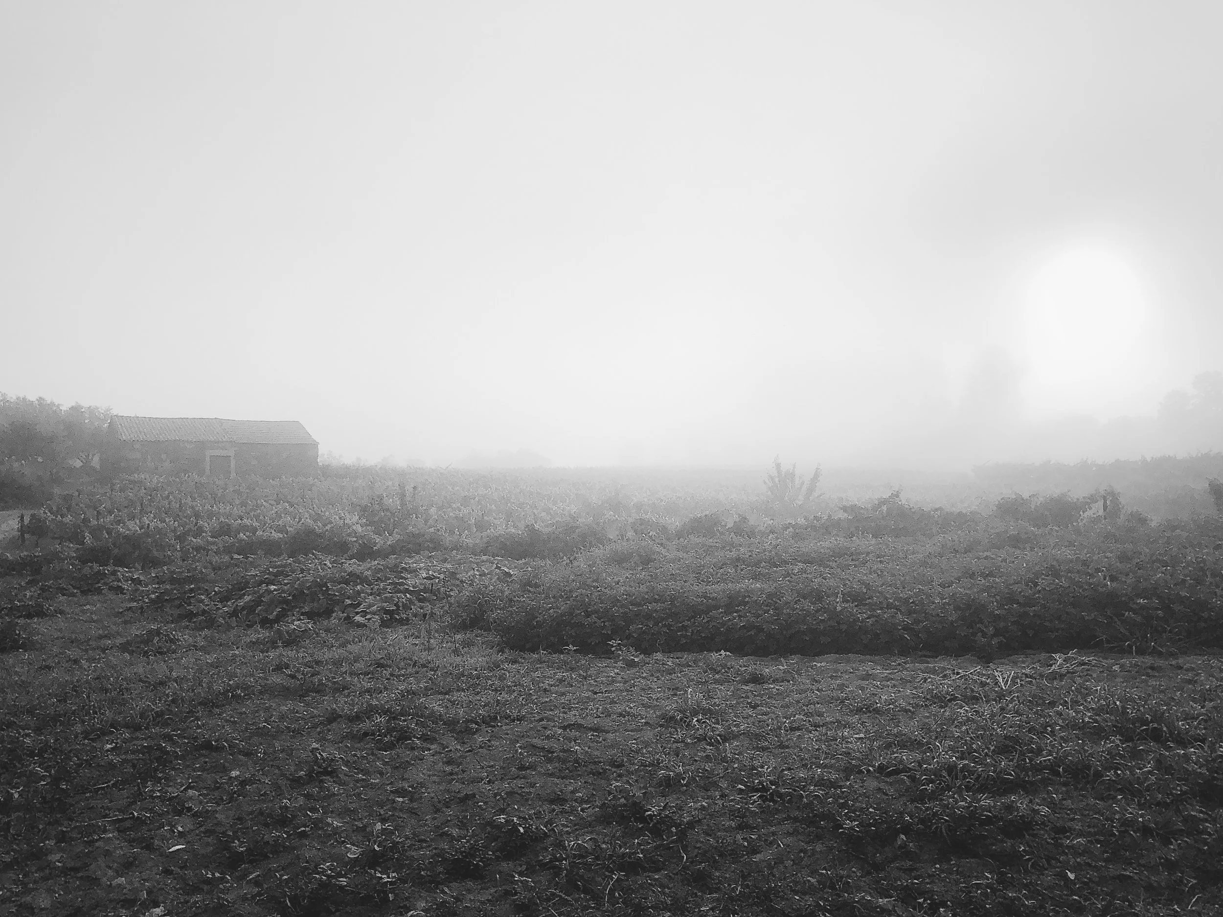 09575065-4B00-4635-94B0-1035BF16887D.JPG