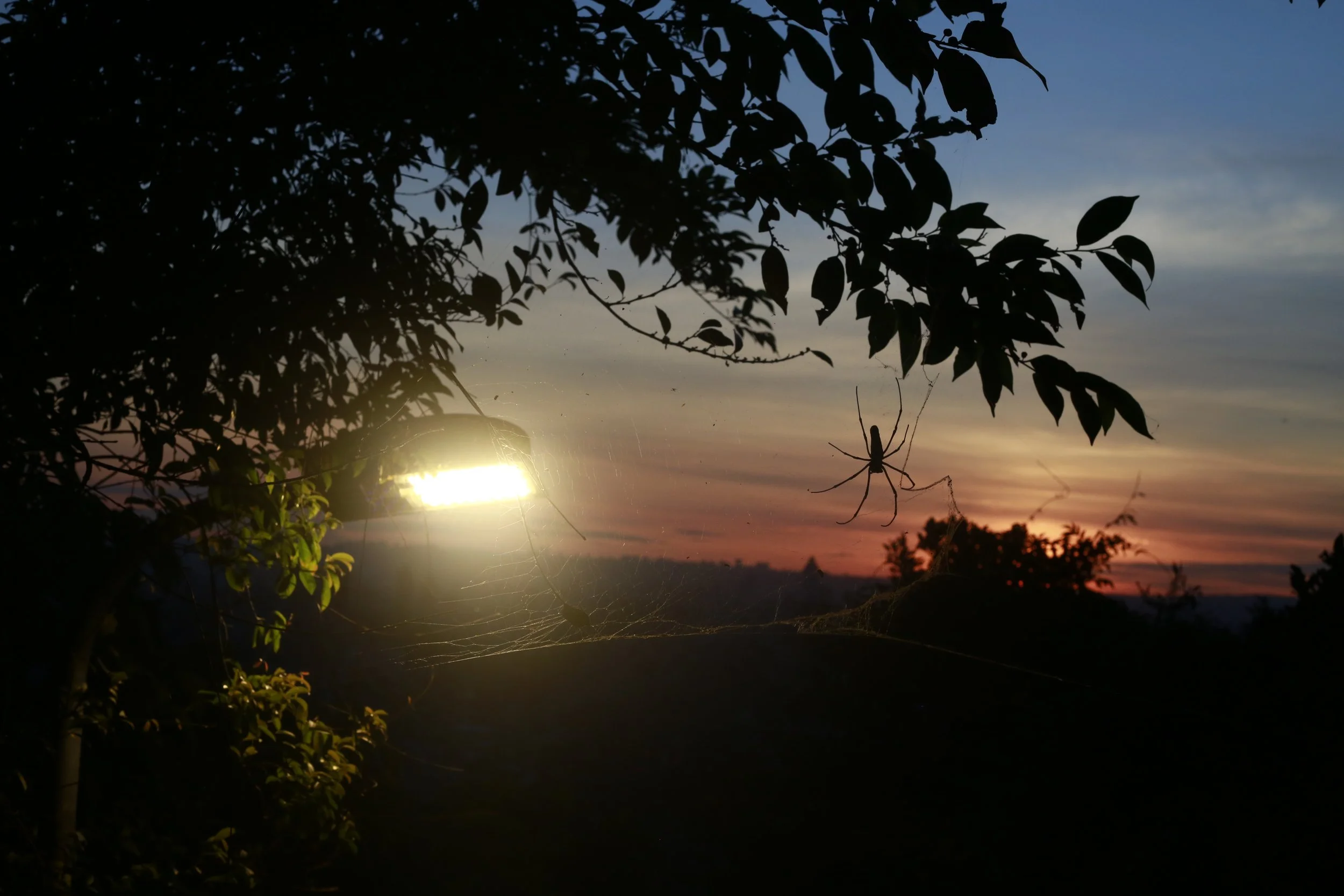 _73B9391.JPG