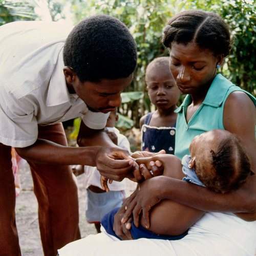 Vaccines and health education help prevent the spread of infectious diseases.