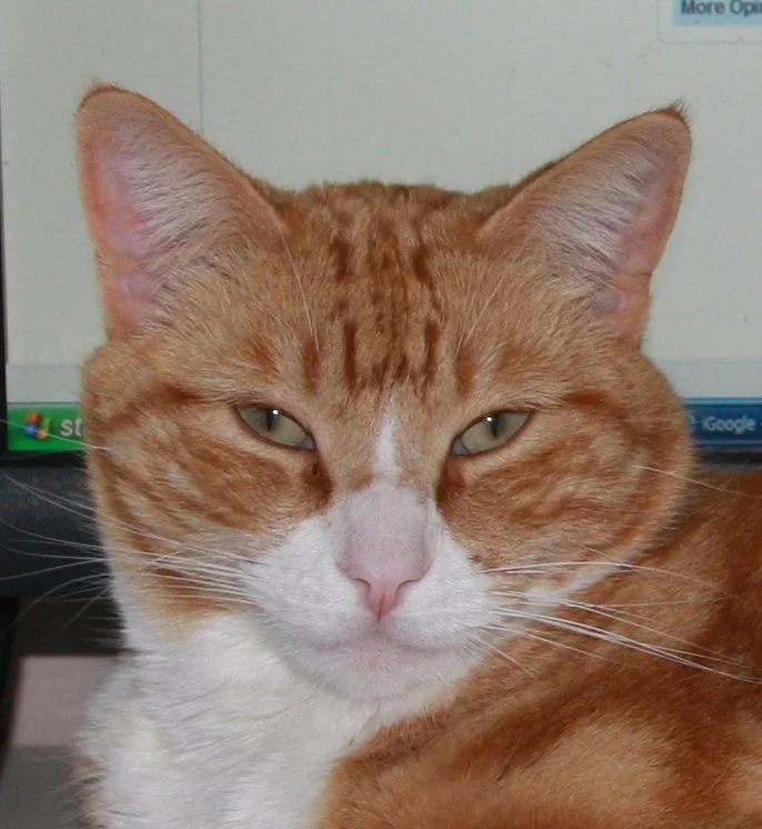 Jazz in the Vineyard - August 13th