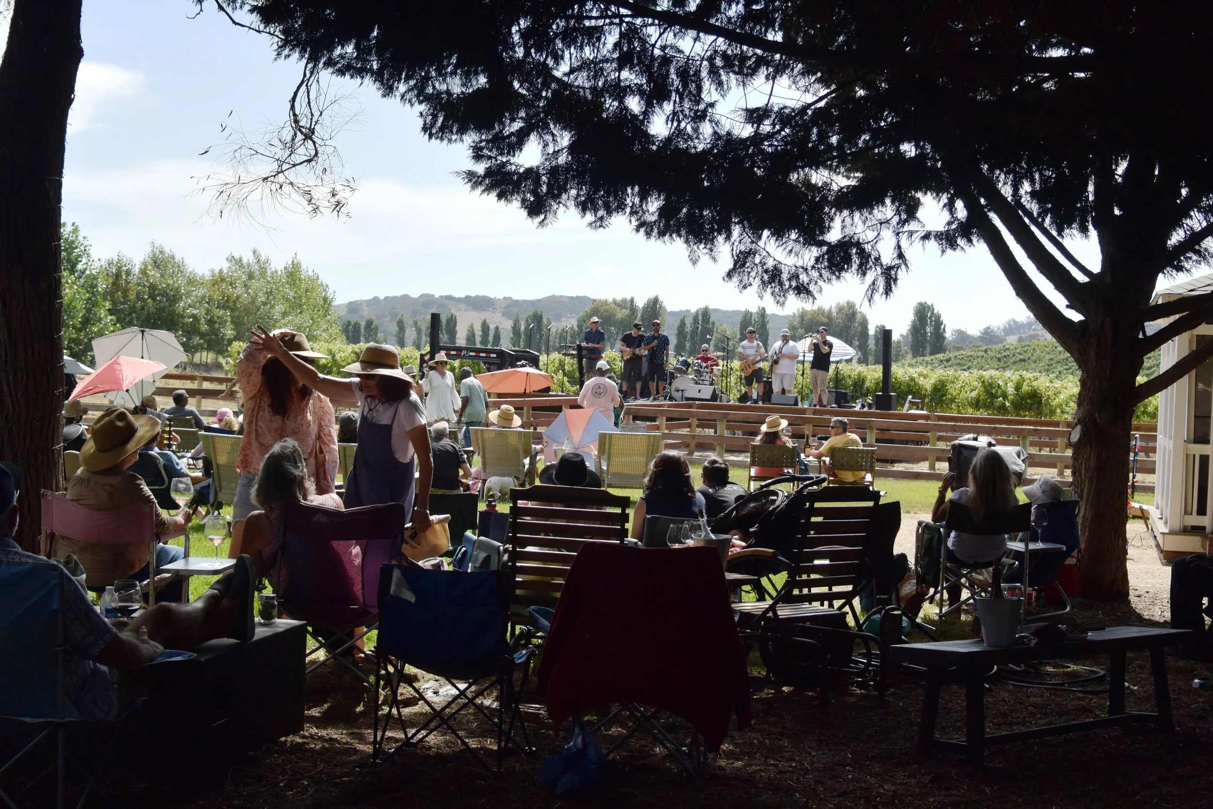 Jazz in the Vines