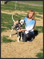 Bo, the Dalmatian "Bo goes to doggie day care and has made some doggie friends and we are now in obedience classes with other dogs and Bo is doing really well. Thank you, Dr. Maxwell " Chandler Wheeling Roanoke, VA