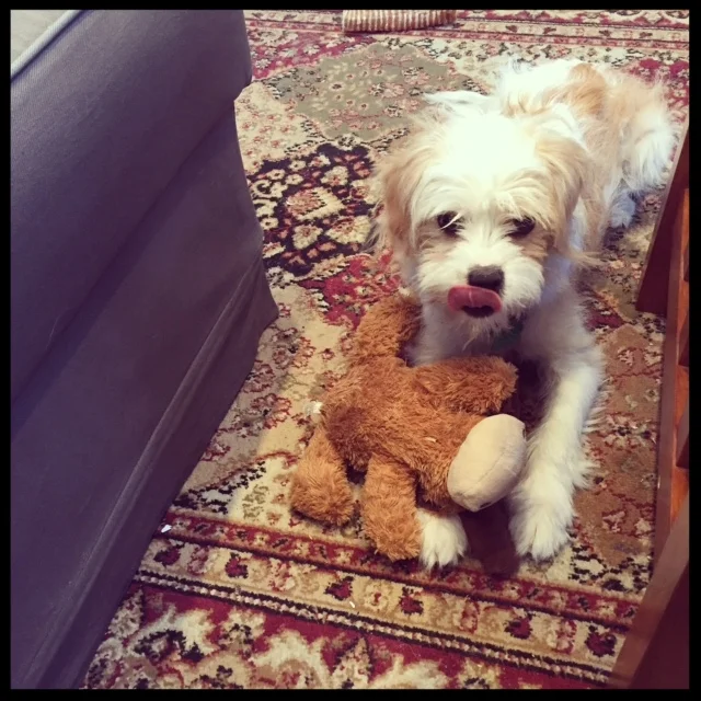    
  
 Normal.dotm 
 0 
 0 
 1 
 16 
 96 
 Benefits Data Trust 
 1 
 1 
 117 
 12.0 
  
  
 
  
    
  
 0 
 false 
 
 
 18 pt 
 18 pt 
 0 
 0 
 
 false 
 false 
 false 
 
  
  
  
  
 
  
    
  
  
   
 
 /* Style Definitions */
table.MsoNormalTab