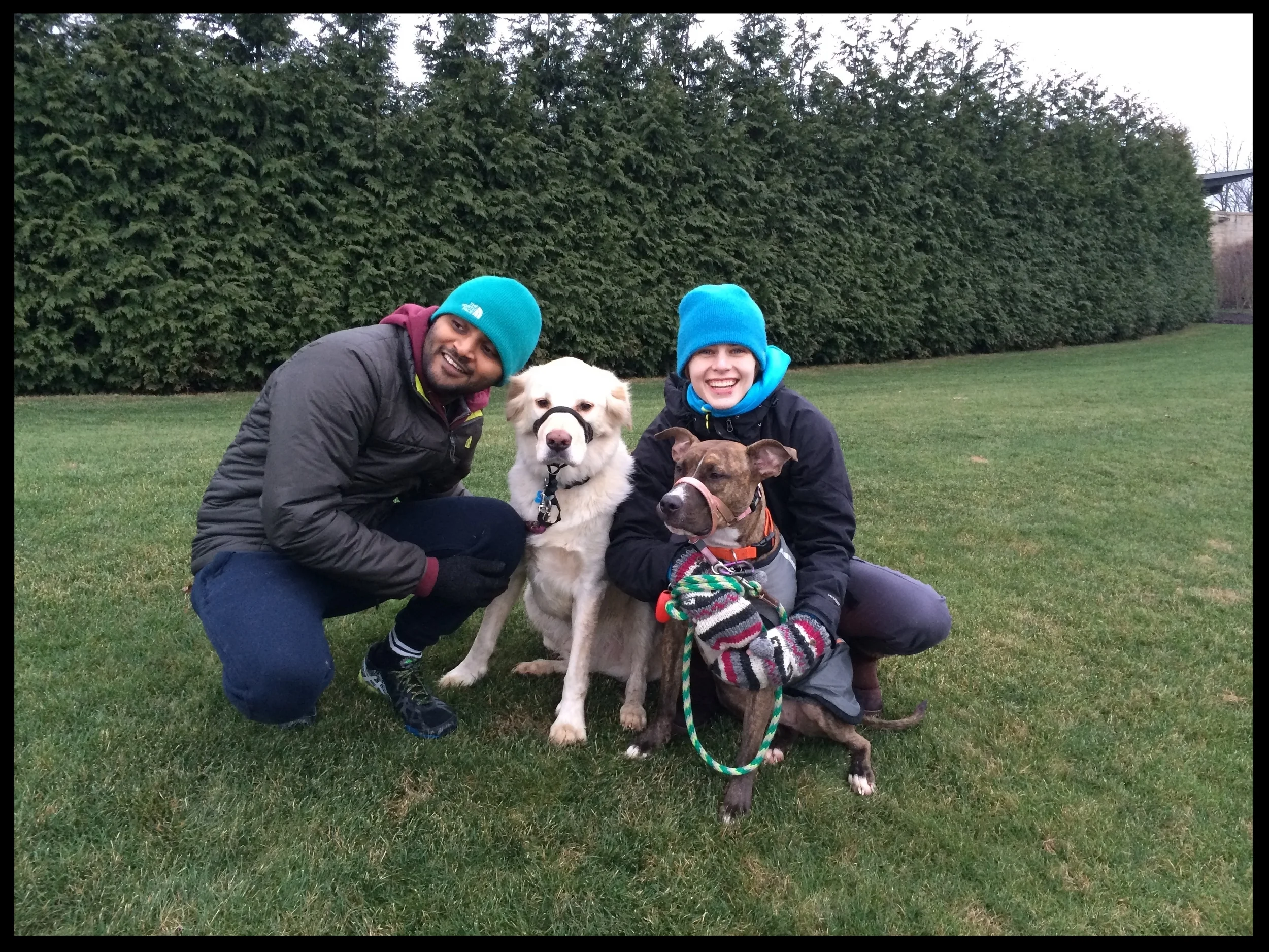   Vader, the Pit Bull Terrier    "We felt that [Kris]&nbsp;really cared about our dog and cared about helping us, and it is obvious that she really loves and cares about dogs in general."    Carly   Schwartz  Yonkers, NY 