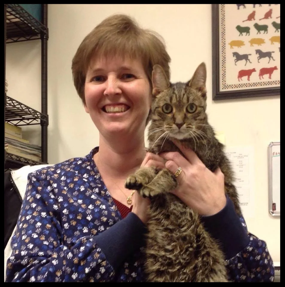 "Dr. Maxwell is a tremendous asset to the veterinary community." Dr. Lee Metrey, DVM DeRolf Animal Hospital Salem, VA