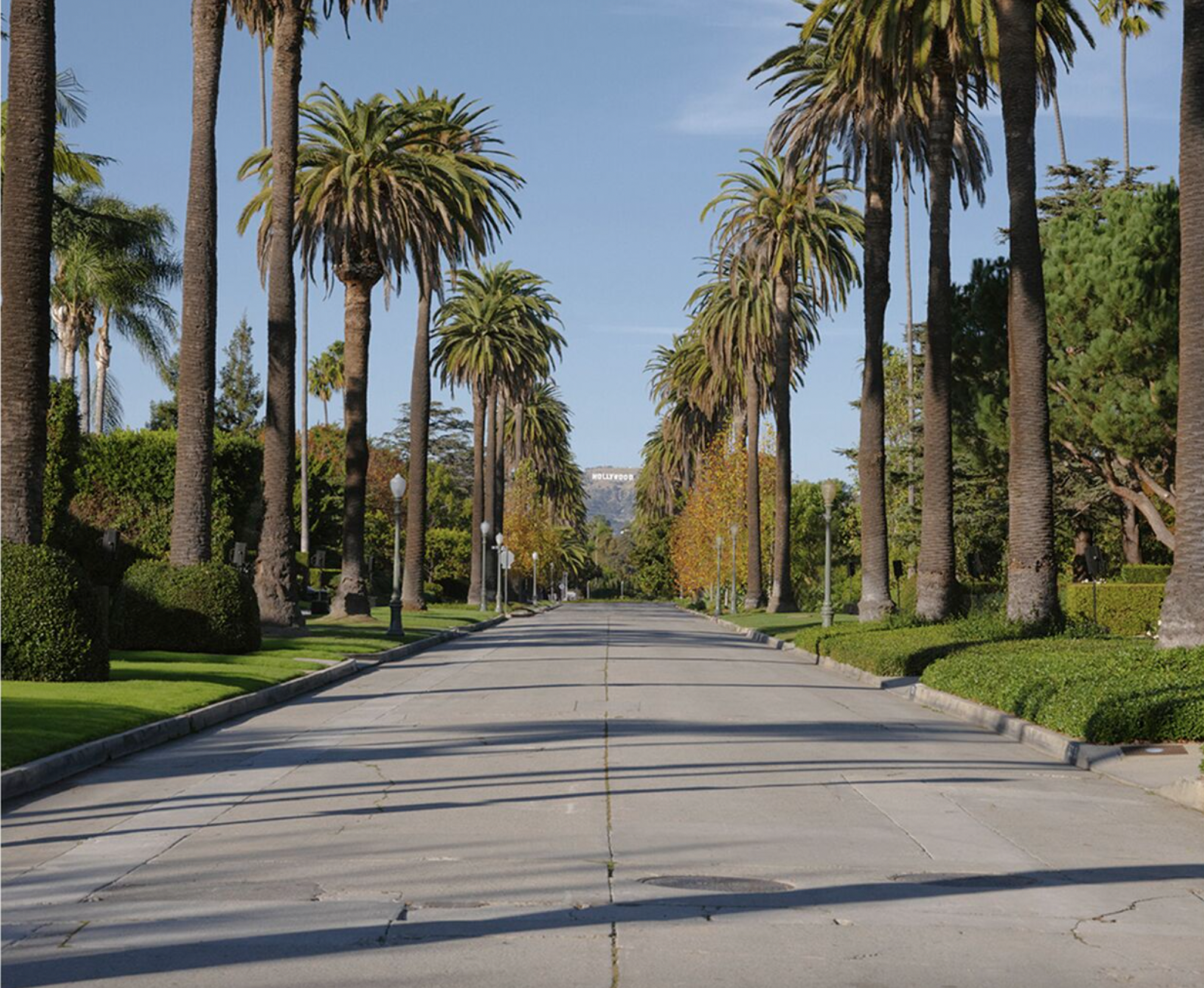 Screen Shot 2023-12-15 at 12.41.04 PM.png