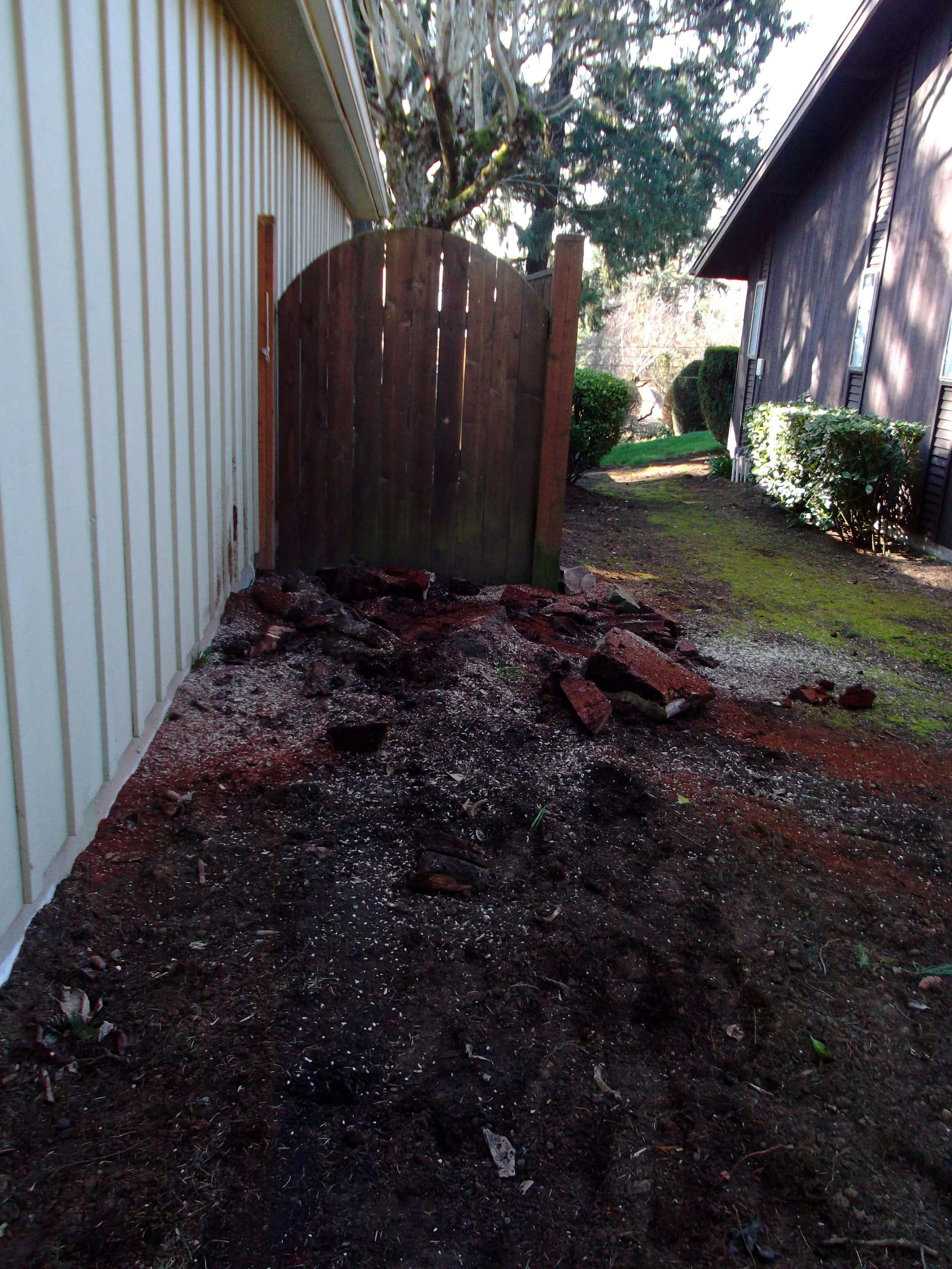 I use my saw to cut the stump to ground level.