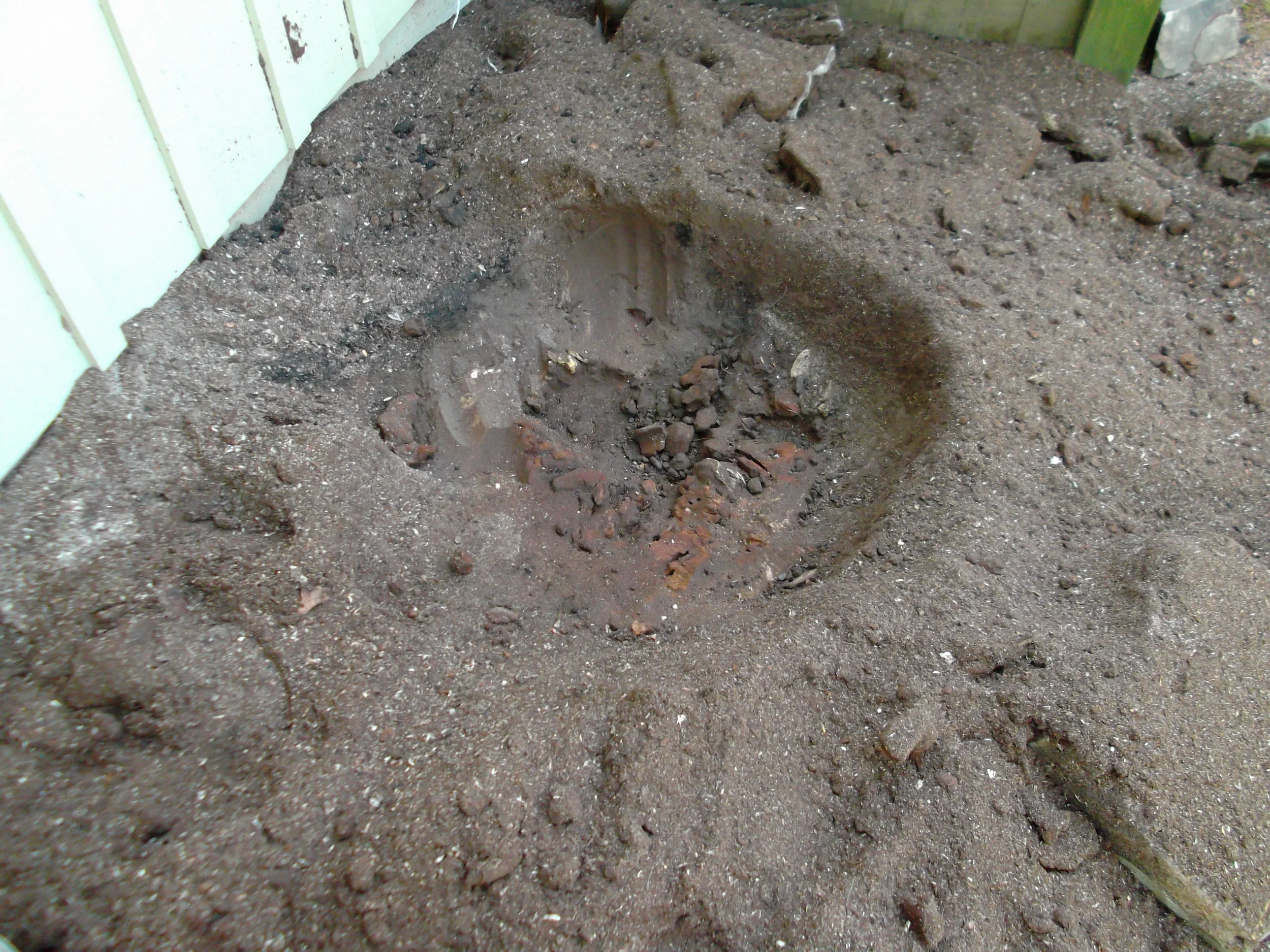 I use a leaf blower to clear out the dirt to see what's left of the stump, this one is almost done.