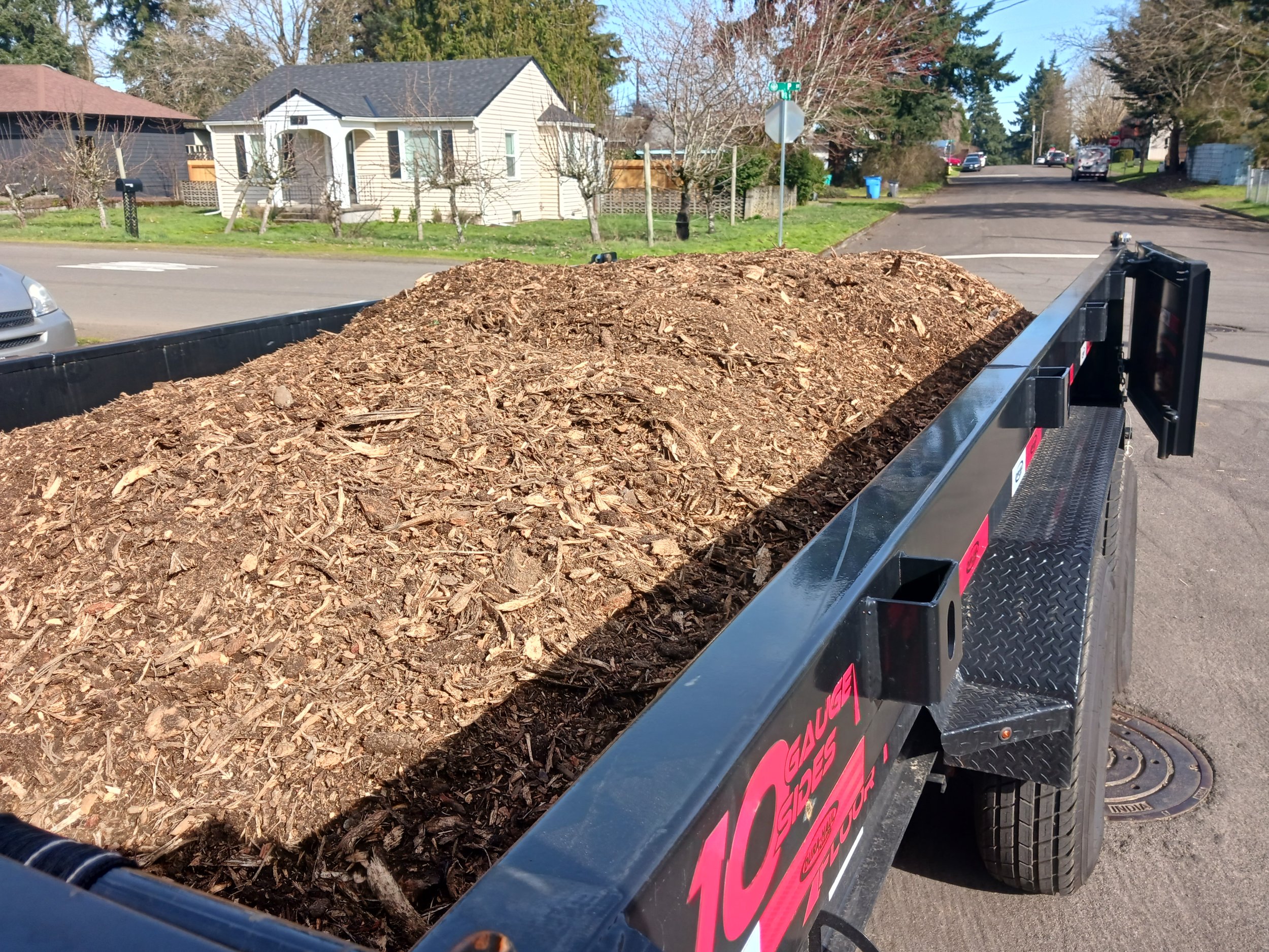 The wood chips from a 5’ Douglas Fir, it almost filled the trailer.