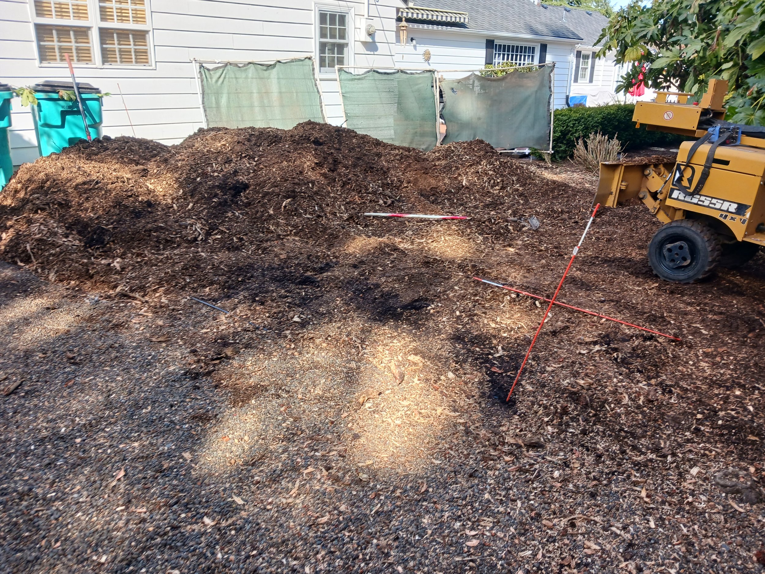 After grinding the 5’ Douglas Fir.