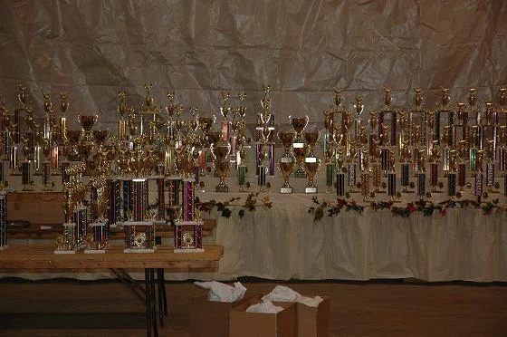  Putting together the awards table 