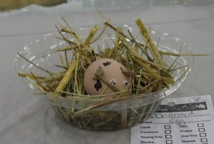 egg.449.2.JPG