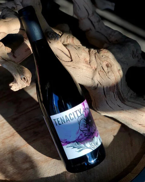 Support Women in STEM with SPIN Girls and Warr-King Wines!