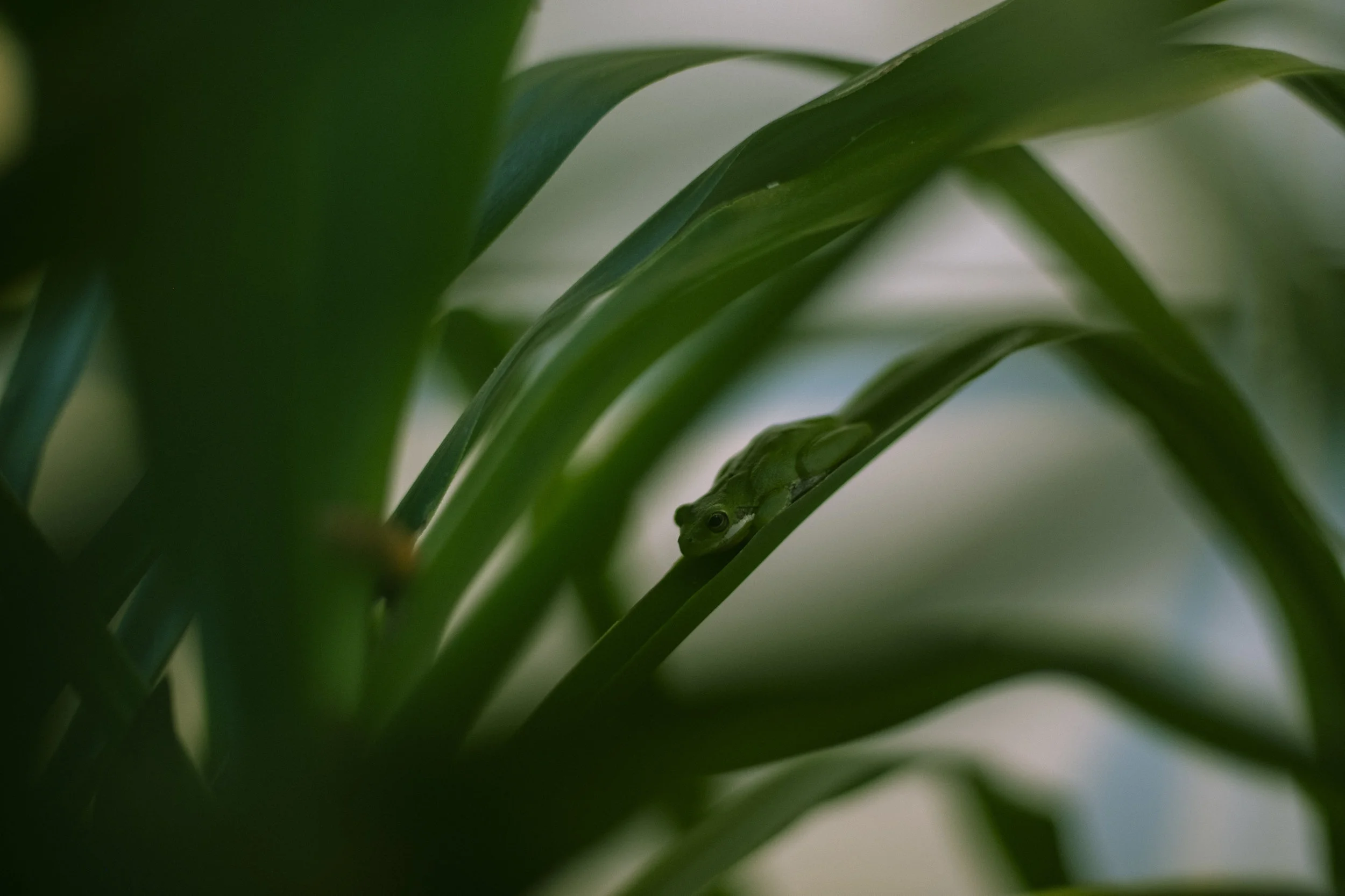 NC2019_010.jpg