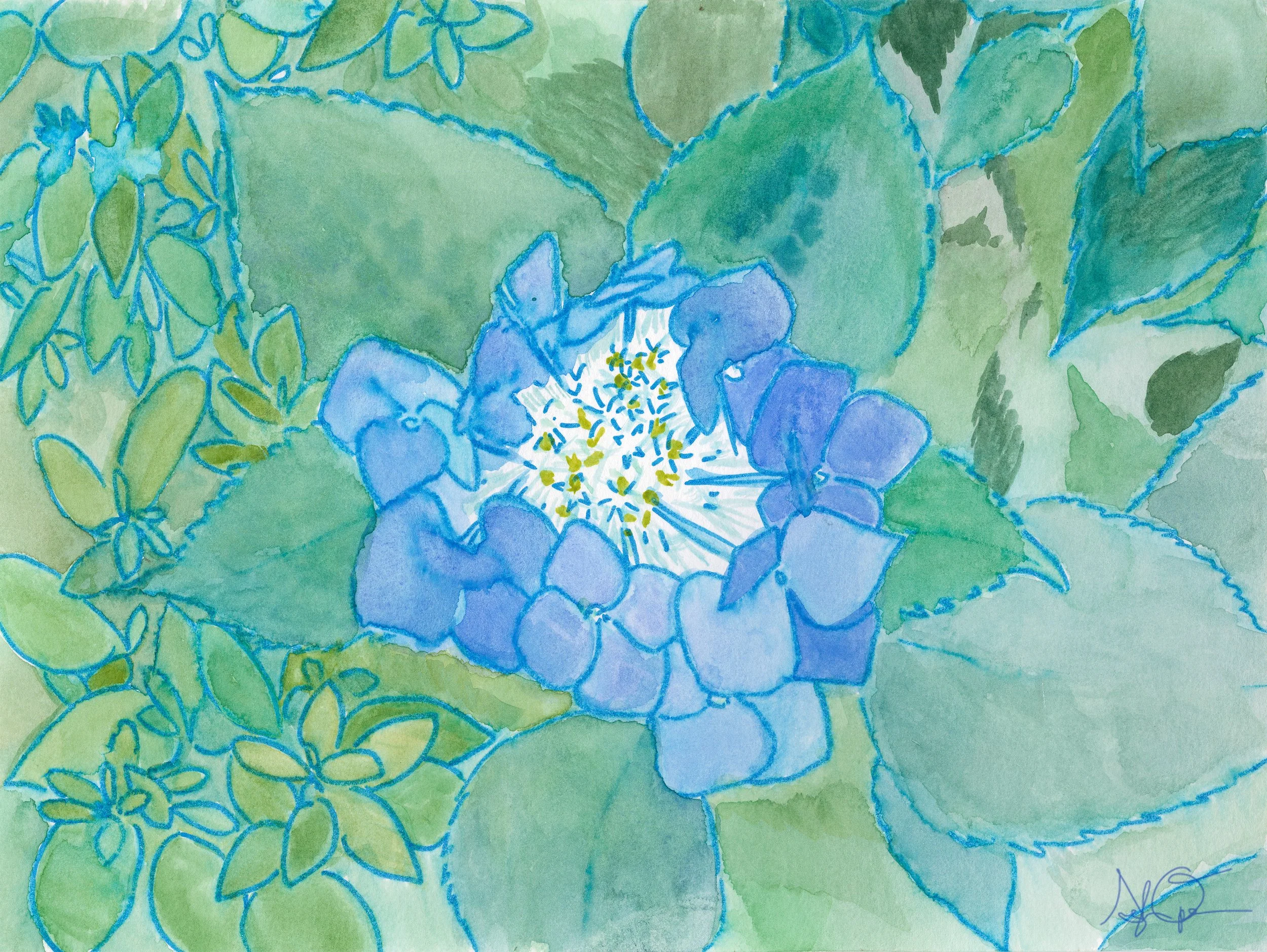 Openshaw_Flower-Blue.jpg