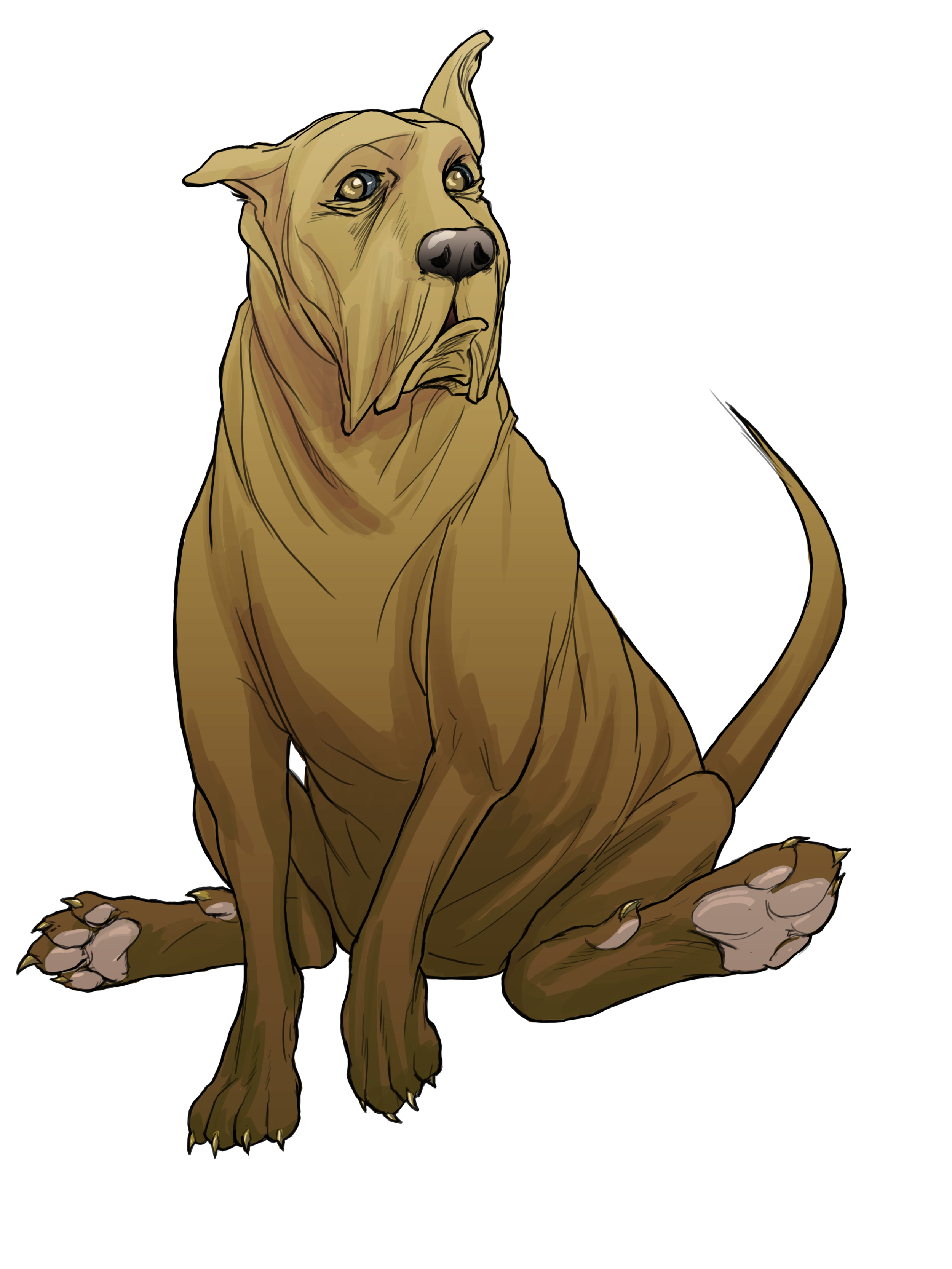 boarhound brown color.png