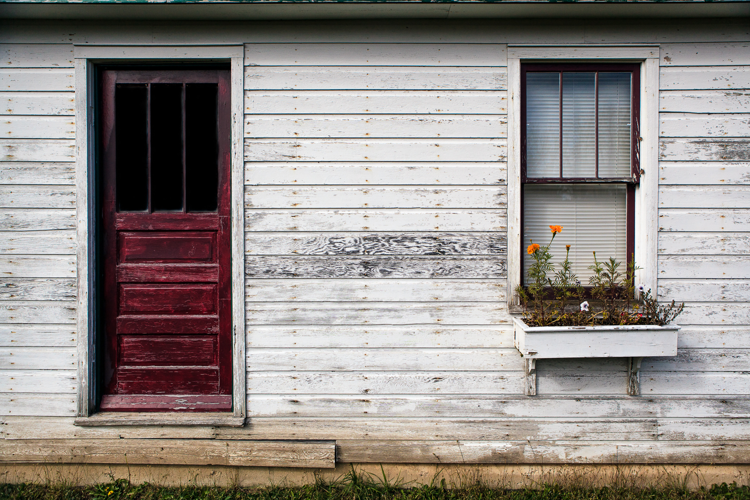 Maroon Door