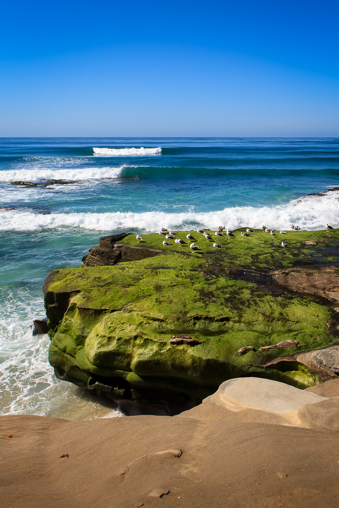 La Jolla Coast