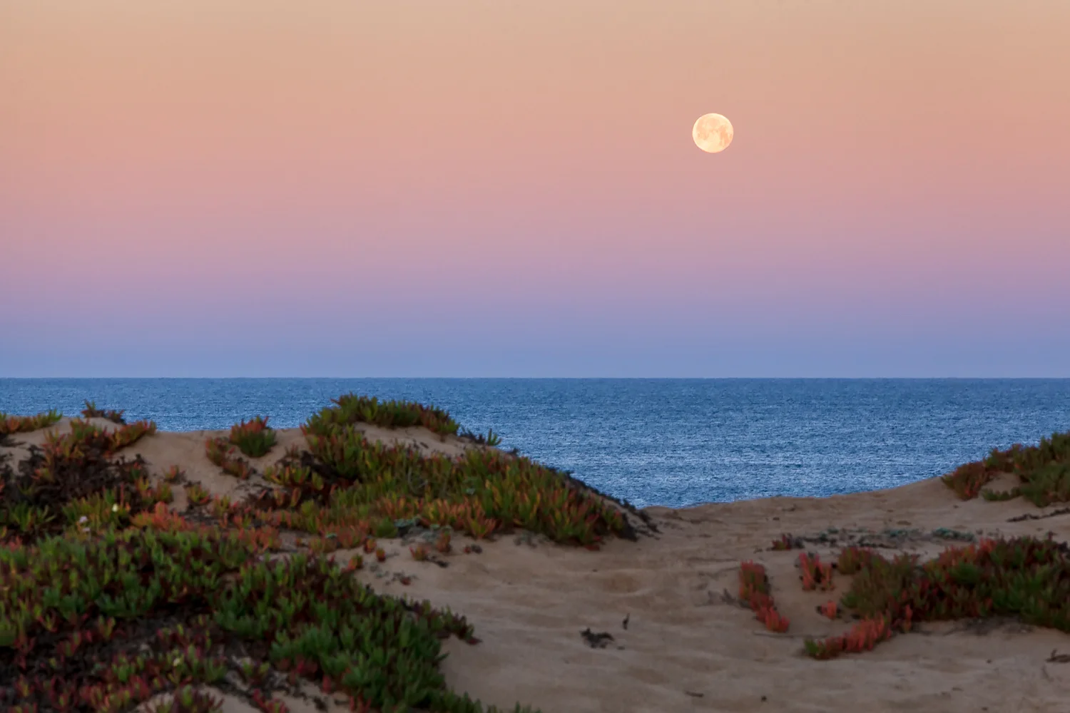 Moonset over Marina Dunes