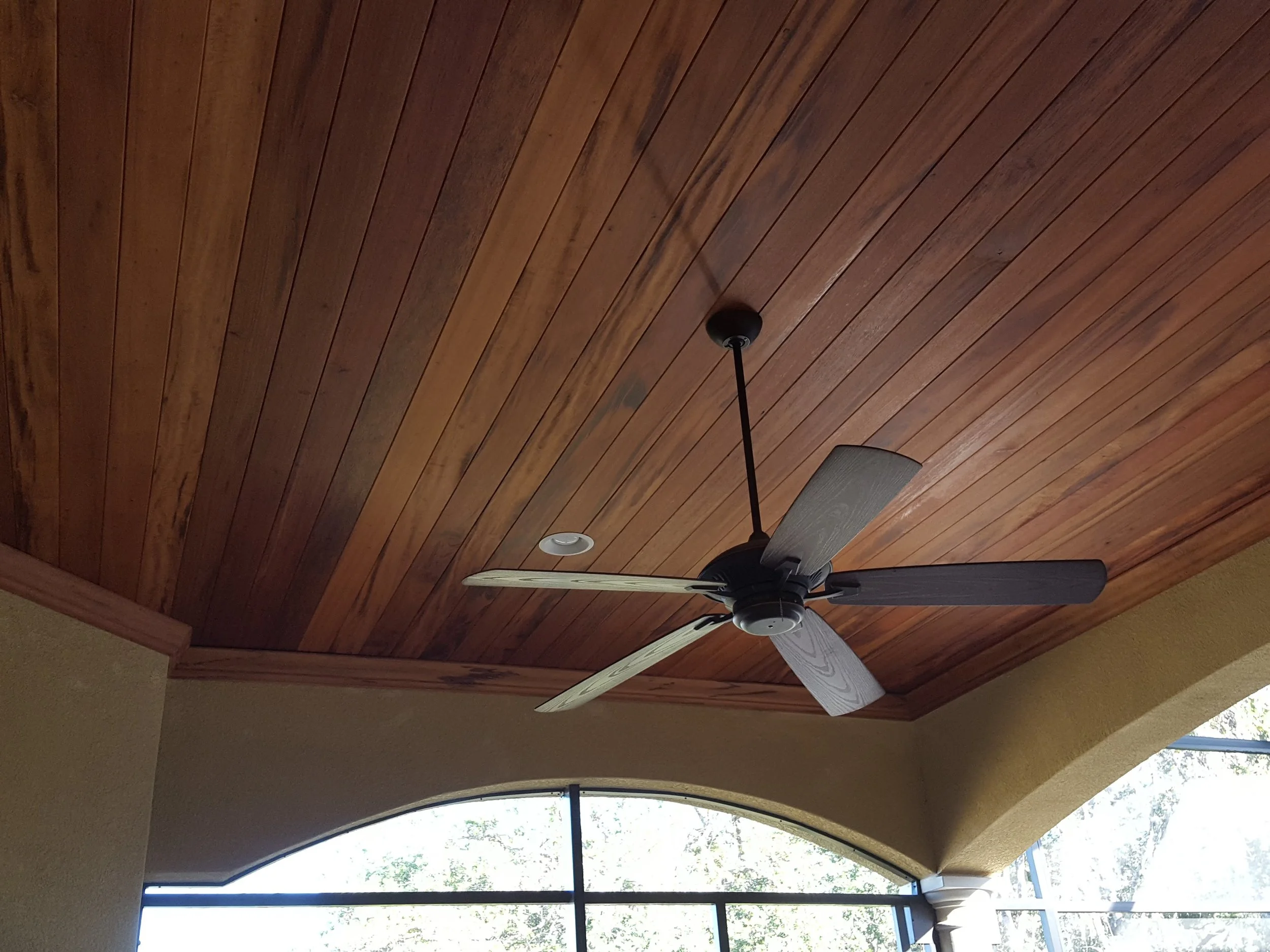 tigerwood ceiling 2.jpg