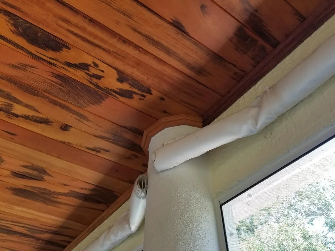 ceiling 4.jpg