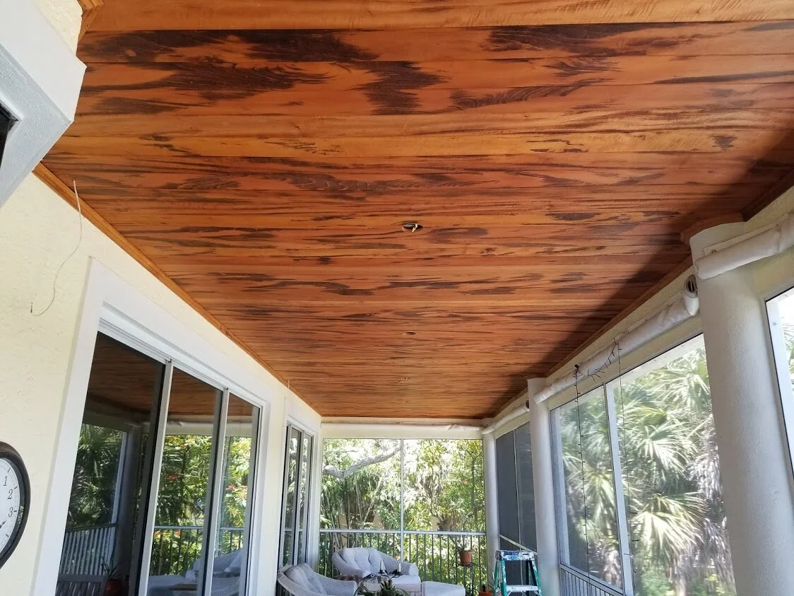 ceiling 3.jpg