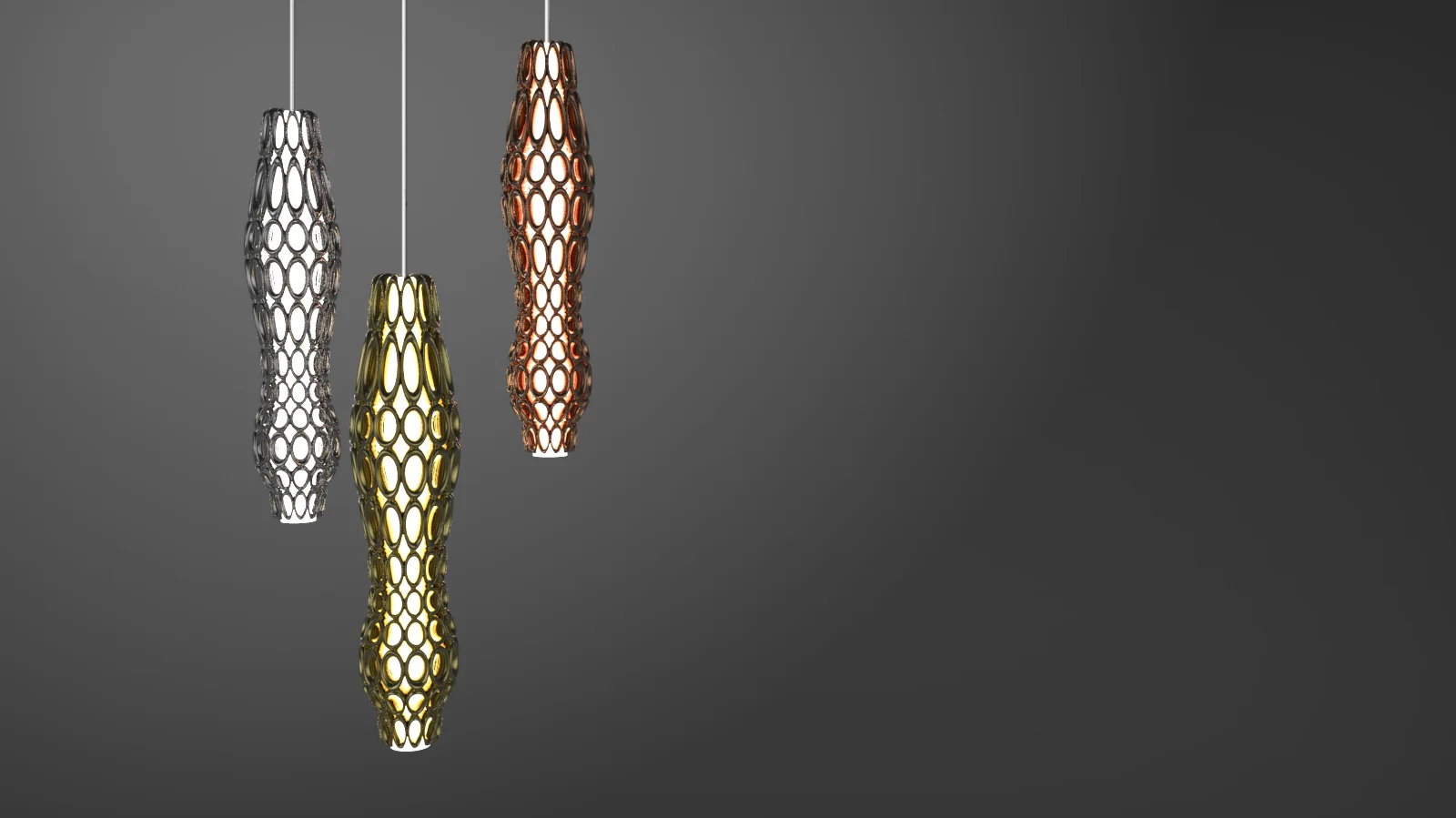 Chain cholla_EM_1.jpg