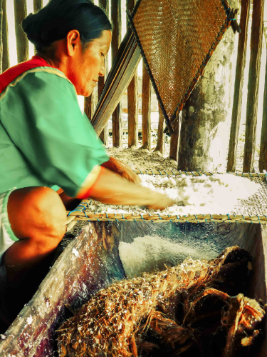 The dry ‘powder-like’ yucca is sieved in order to make pancakes of it.